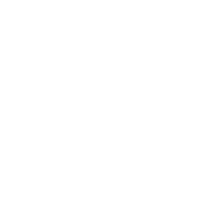 customer- customer-